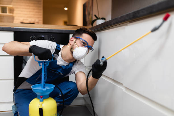 Best Residential Pest Control  in Line Acres, MO