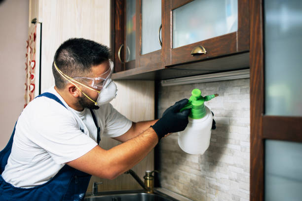Best Affordable Pest Control Services  in Line Acres, MO