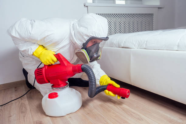 Best Mosquito Control Services  in Line Acres, MO