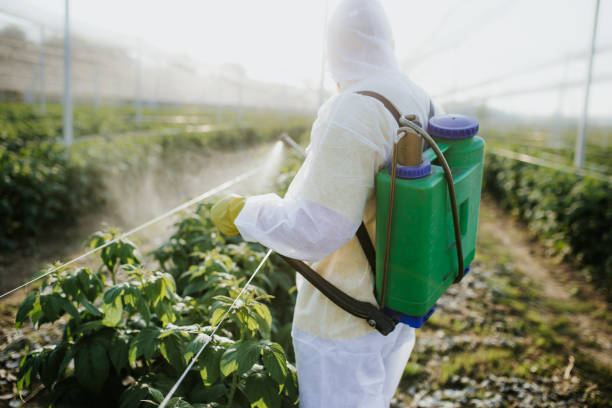 Best Flea Control Services  in Line Acres, MO